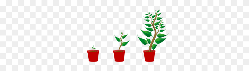 298x180 Grow Clipart - Potted Plant Clipart