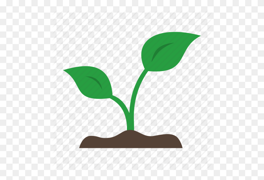 512x512 Grow, Leaf, Organic, Plant, Sprout, Sprouting Icon - Sprout PNG