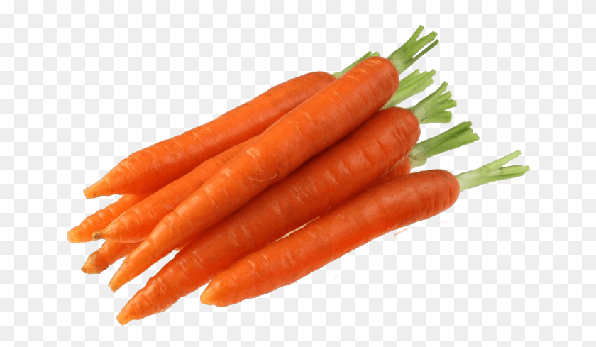 658x429 Cultivo De Zanahorias Cómo Plantar, Cuidado De Recoger Zanahorias Sproutabl - Zanahorias Png