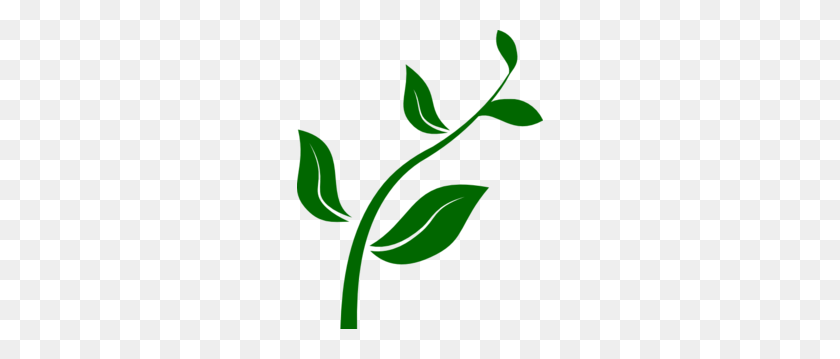 246x299 Растущие Растения Картинки Графические Орнаменты - Рекомендации Клипарт