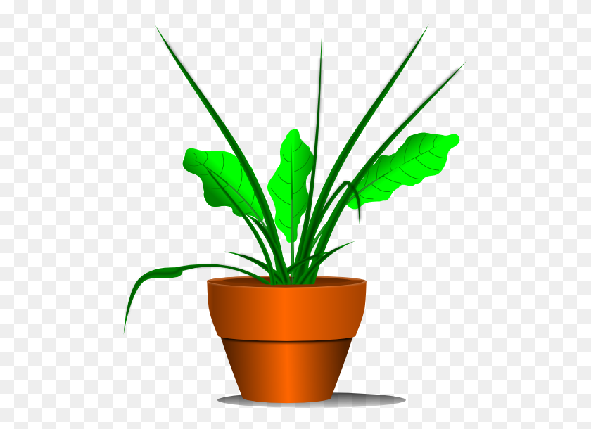 489x550 Growing Plant Clipart Free Images - Clay Clipart