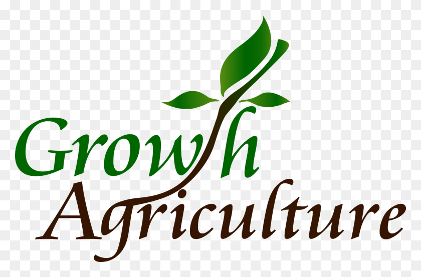 1466x927 Growth Agriculture Liquid Blood And Bone, Organic Fertilizers - Blood Spray PNG