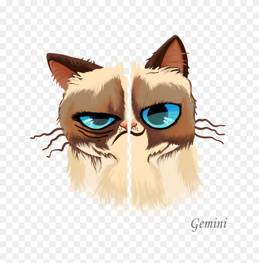 2084x2116 Grumpy Cat Horóscopos Vitas Portafolio - Grumpy Cat Png