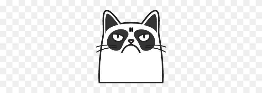 240x240 Grumpy Cat Simtong Line Stickers Line Store - Grumpy Cat PNG