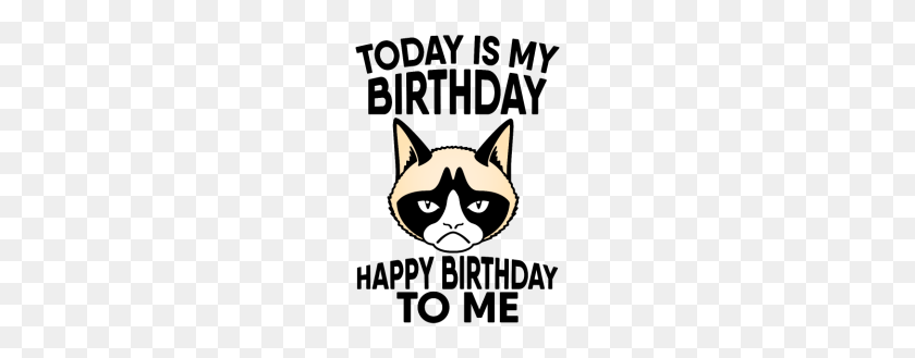 190x269 Grumpy Cat Today Is My Birthday Happy Birthday - Grumpy Cat PNG