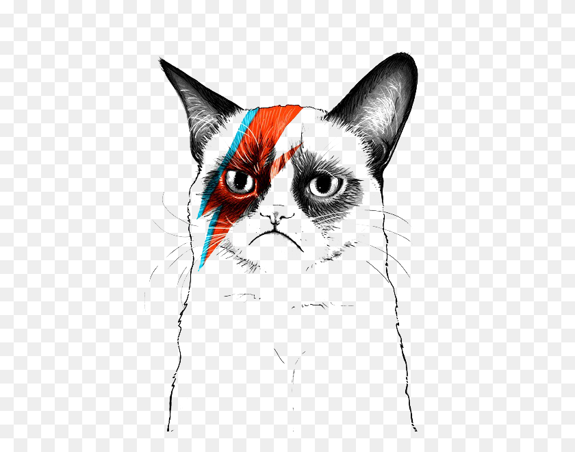 453x600 Grumpy Cat Tumblr Прозрачный - Сварливый Кот Png