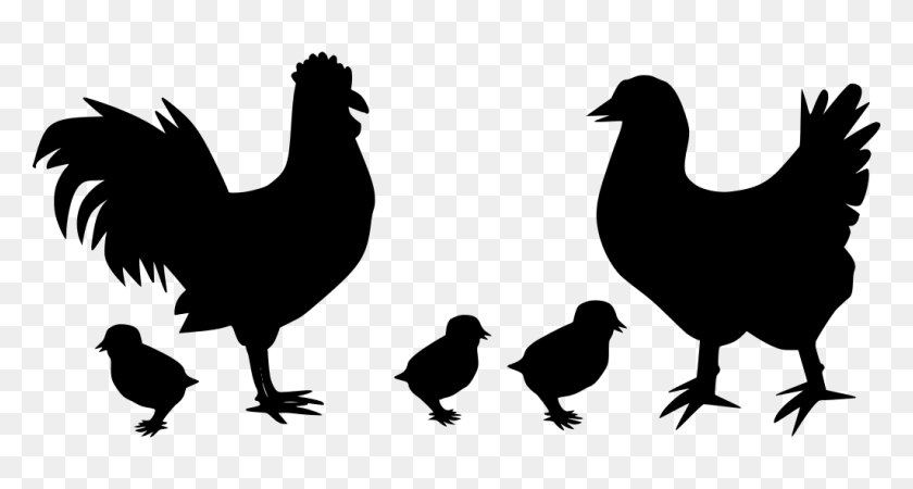 1024x512 Gt Animal Bird Hen Poultry - Chicken Silhouette PNG