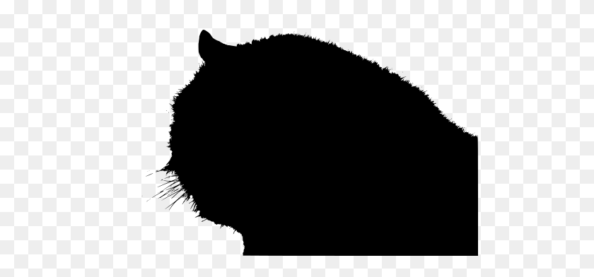 512x332 Gt Animal Cara De Gato De Dibujos Animados - Bigotes De Gato Png
