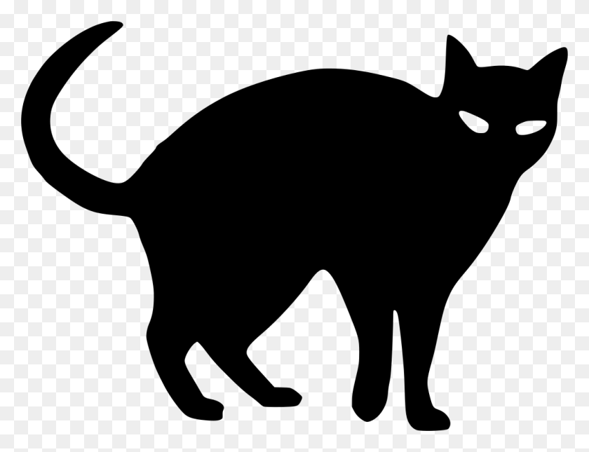 1024x768 Gt Animal Cat Tail Pet - Cat Tail PNG
