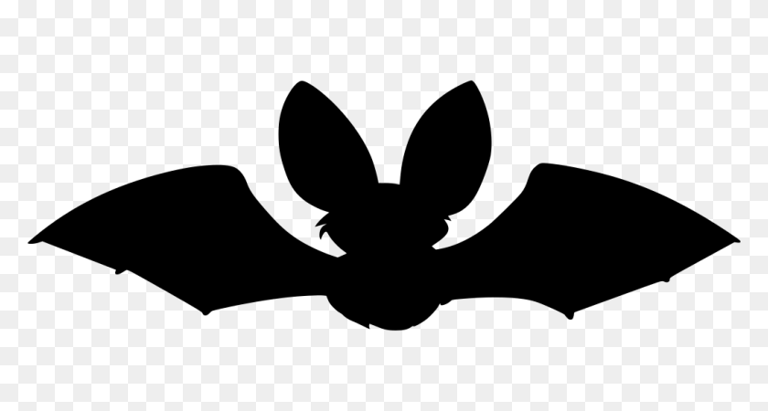 1024x512 Gt Animal Dark Bat Night - Летучая Мышь Силуэт Png