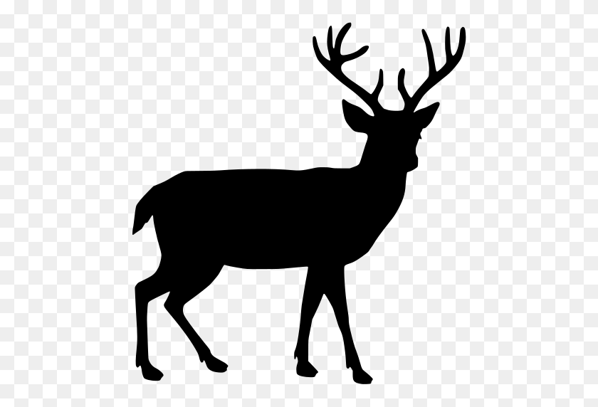 472x512 Gt Antler Deer Stag - Deer Antlers PNG
