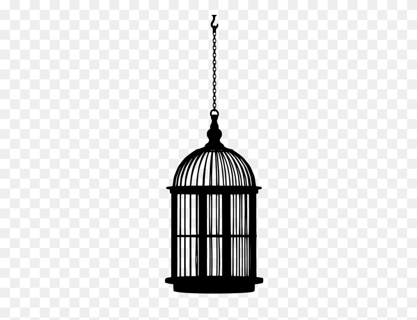 1365x1024 Gt Bird Cage Closed Hanging - Cage PNG
