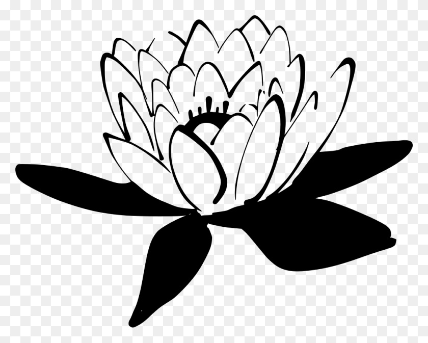 1024x805 Gt Bloom Water Blossom Flower - Water Lily PNG