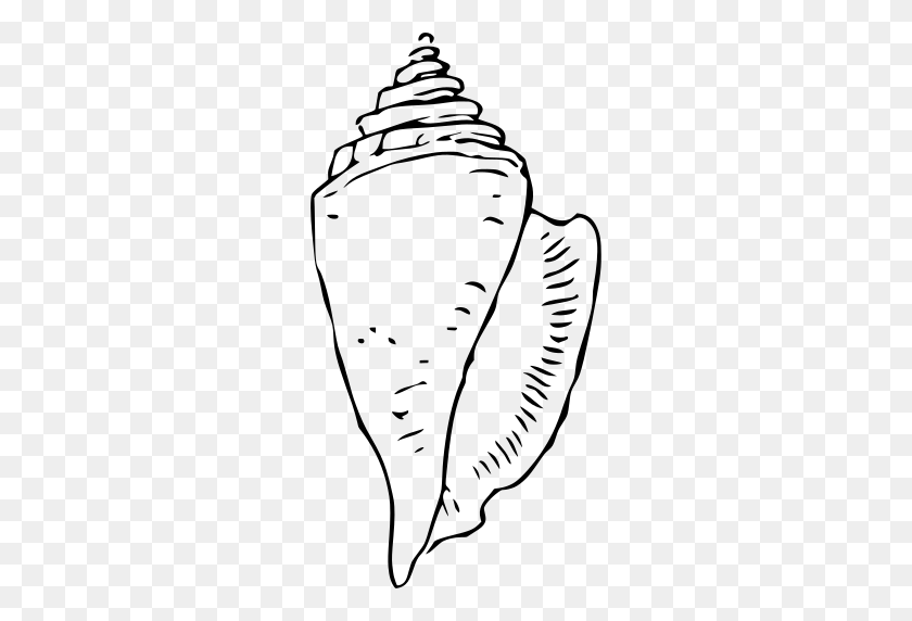 268x512 Gt Conch Shell Seashell - Conch Shell PNG