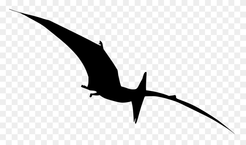 1024x574 Gt Dinosaur Pterodactyl Ancient - Pterodactyl PNG