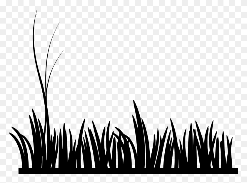 1024x739 Gt Grassland Meadow Grass Field - Grass Silhouette PNG