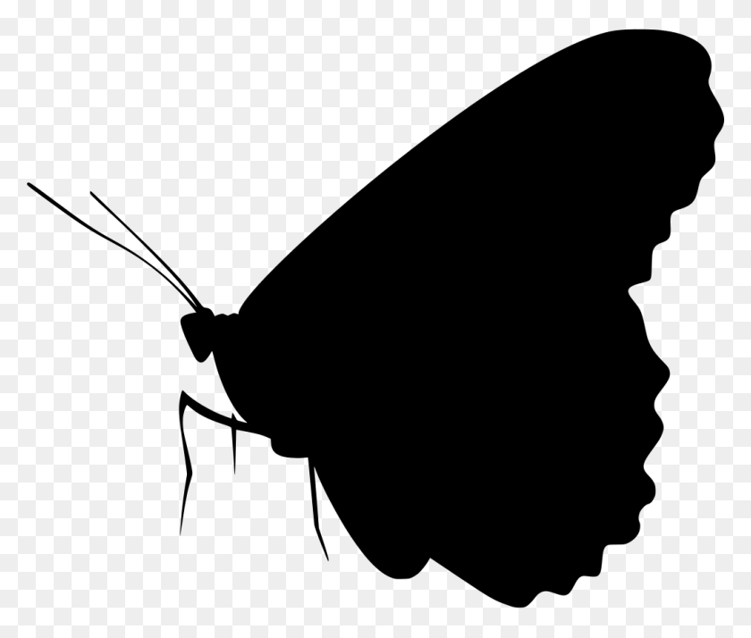 1024x859 Gt Insect Animal Monarch Butterfly - Butterfly Silhouette PNG