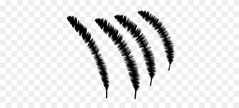 512x320 Gt Isolated Feather Peacock - Black Feathers PNG