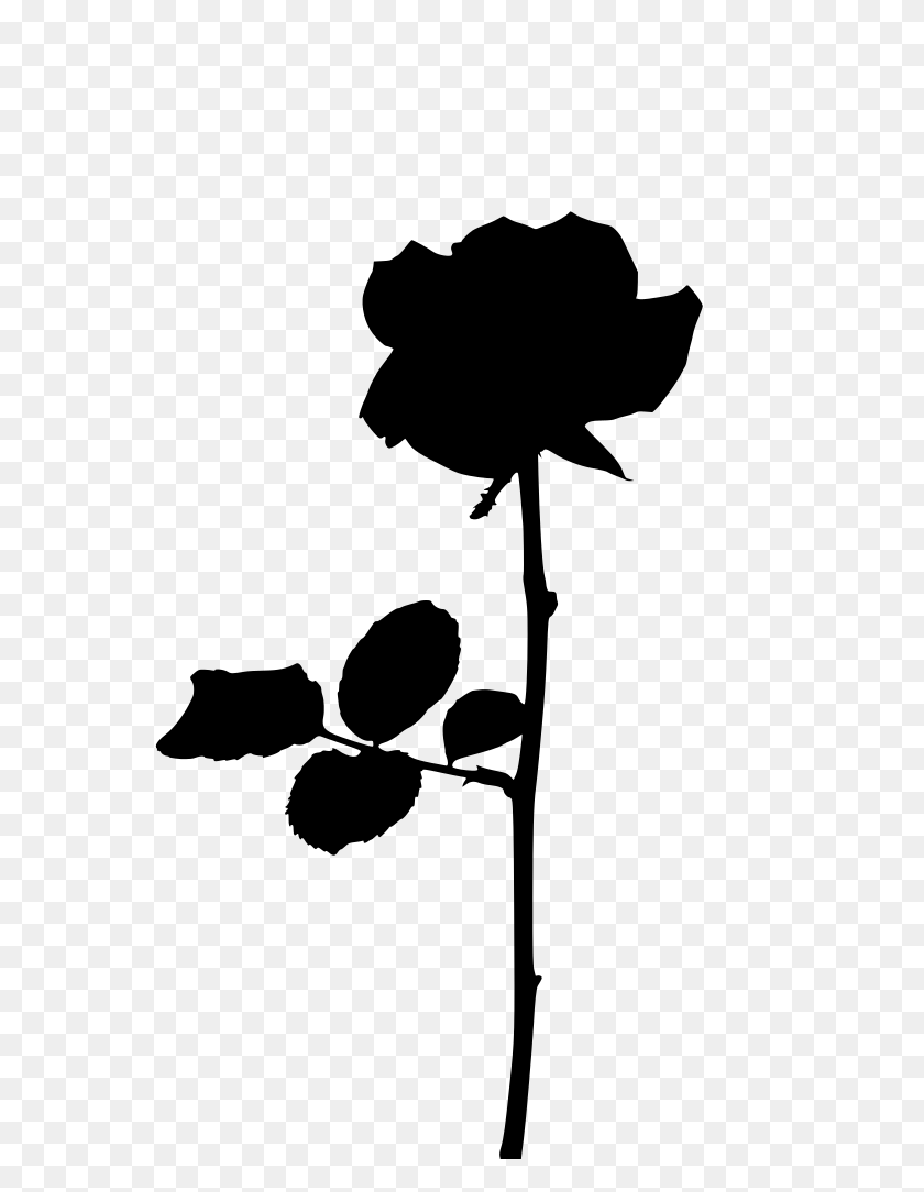 581x1024 Gt Isolated Orange Rose - Rose Silhouette PNG