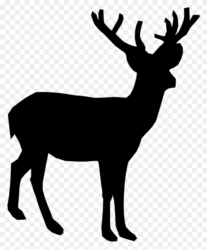 842x1024 Gt Mammal Animal Horn Deer - Reindeer Antlers PNG
