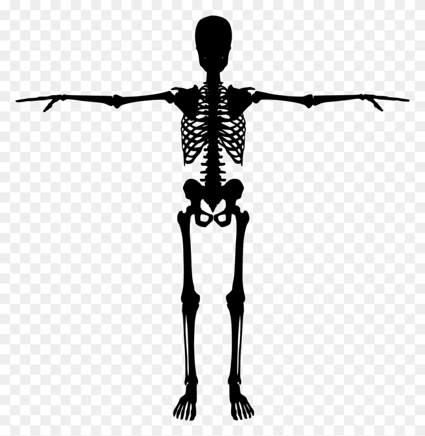 996x1024 Gt Personas Persona Figura Muerta - Esqueleto Png