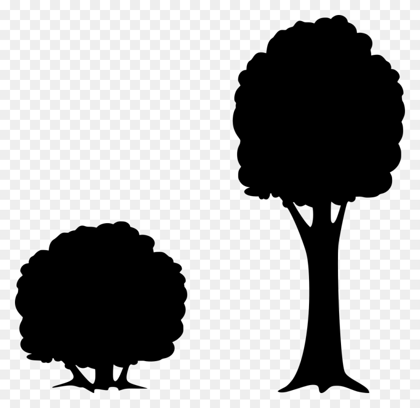 1024x995 Gt Tree Forest Bush Clipart - Forest Silhouette PNG