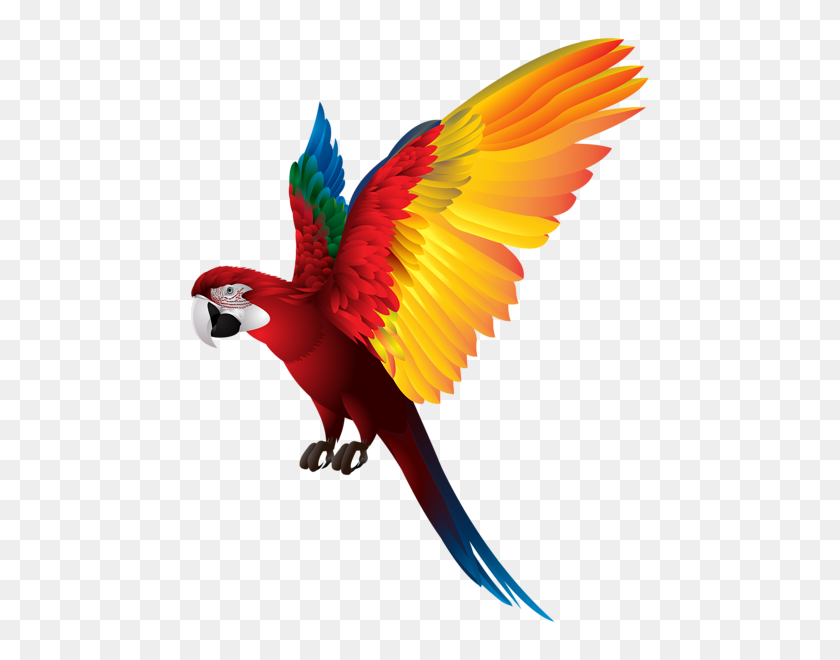 471x600 Guacamayas Parrot, Birds - Macaw Clipart