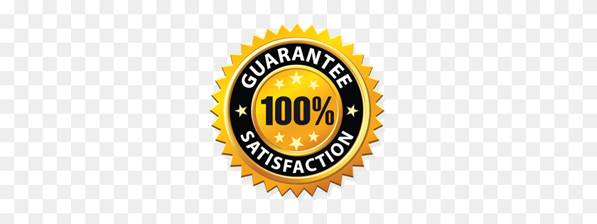 250x255 Guaranteed Carpet Stain Removal Melbourne - 100 Satisfaction Guarantee PNG