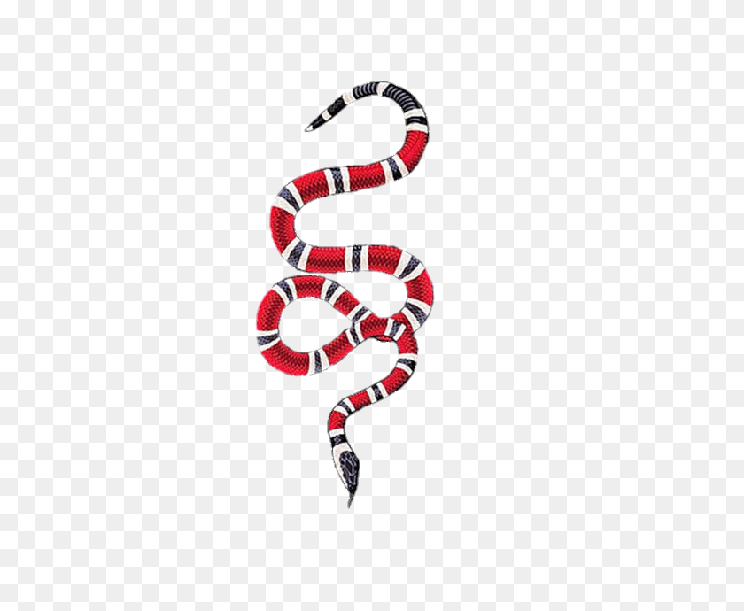 630x630 Gucci Guccigang Guccisnake Serpiente Gucciprince - Gucci Serpiente Png