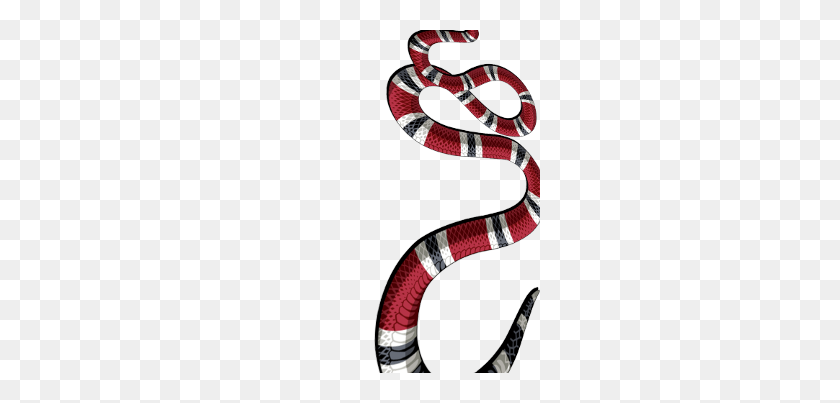 240x343 Gucci Serpiente Png Image - Gucci Png