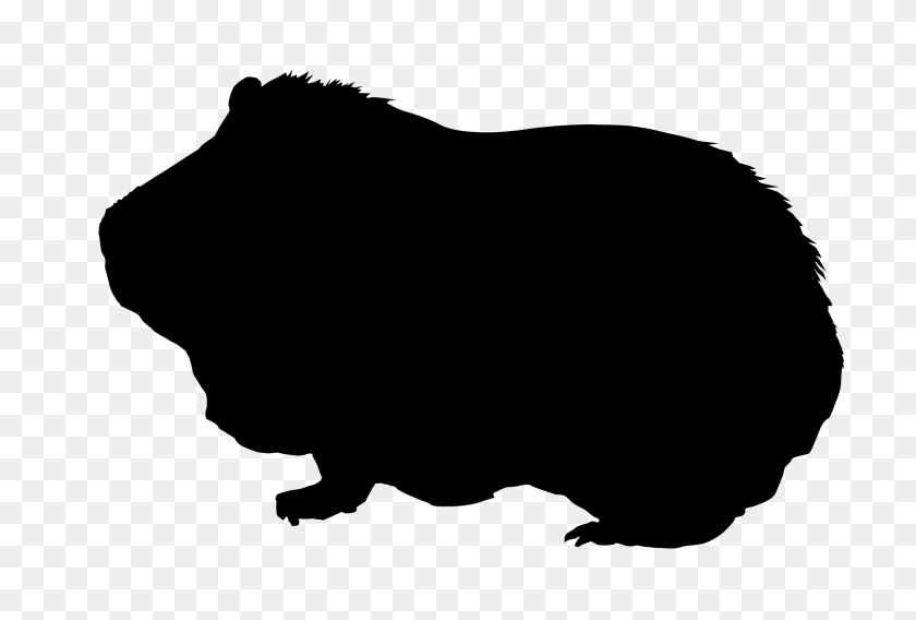 2300x1500 Guinea Pig Silhouette - Pig Silhouette PNG