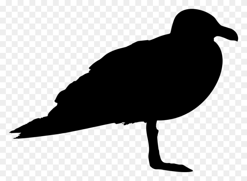 1052x750 Gulls Bird Silhouette Animal - Seagull Clipart