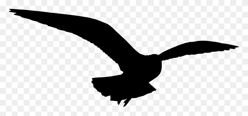 1746x750 Las Gaviotas De Aves Silueta Descargar Dibujo - Flying Seagull Clipart