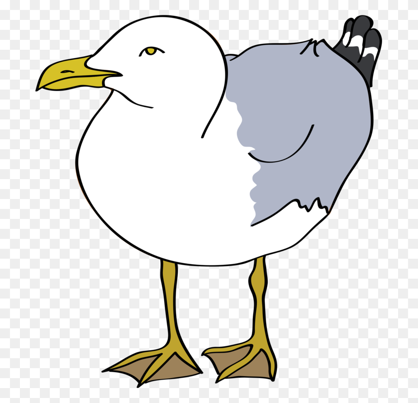 697x750 Gulls Drawing European Herring Gull Bird Cartoon - Seagull Clipart