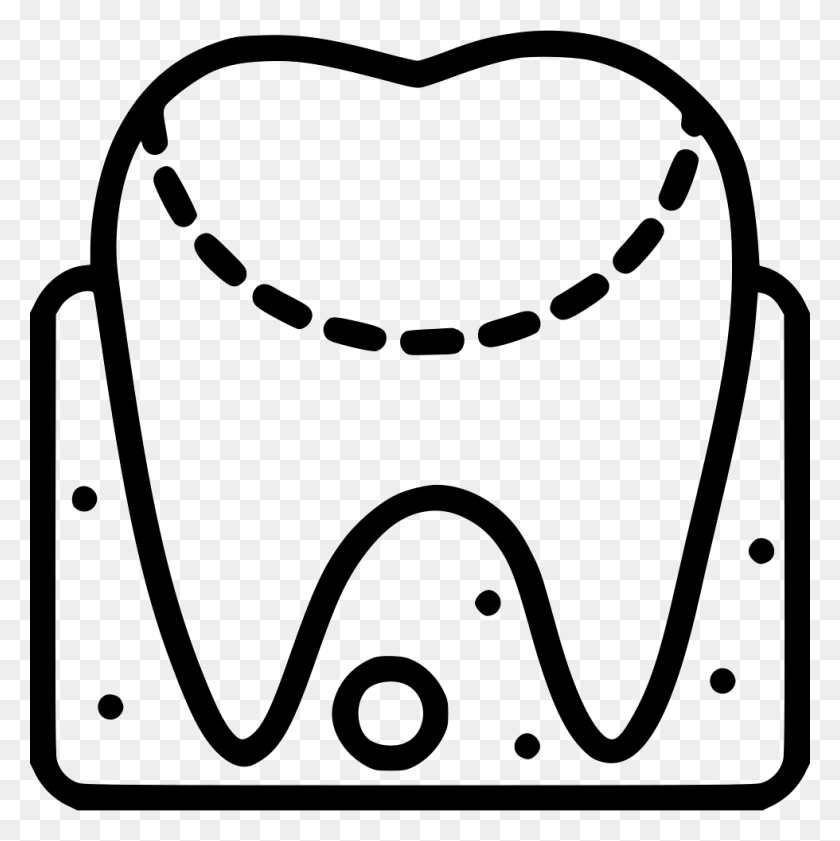 980x982 Gum Anatomy Png Icon Free Download - Gum PNG