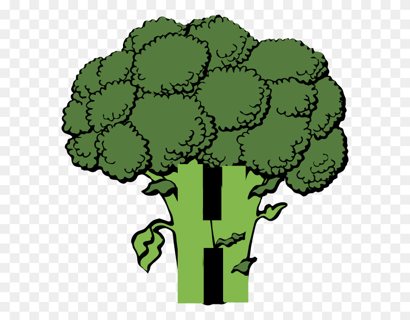 588x597 H Broccoli Clip Art - H Clipart
