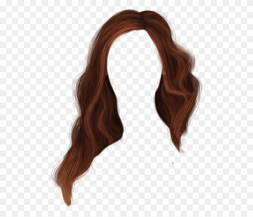 506x661 Hair Hair Png, Hair - Wig PNG