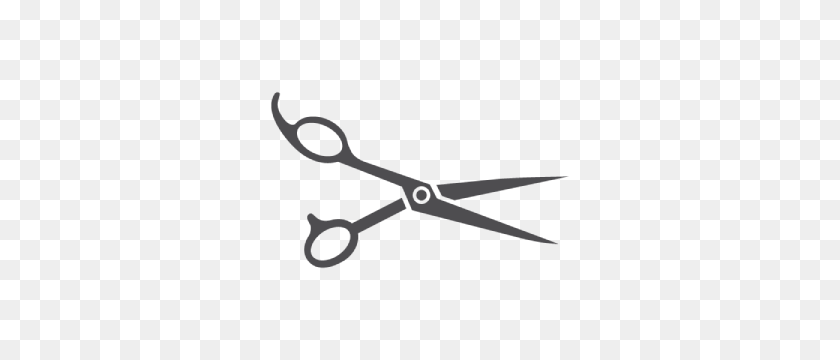 400x300 Haircut Png Images Transparent Free Download - Haircut PNG