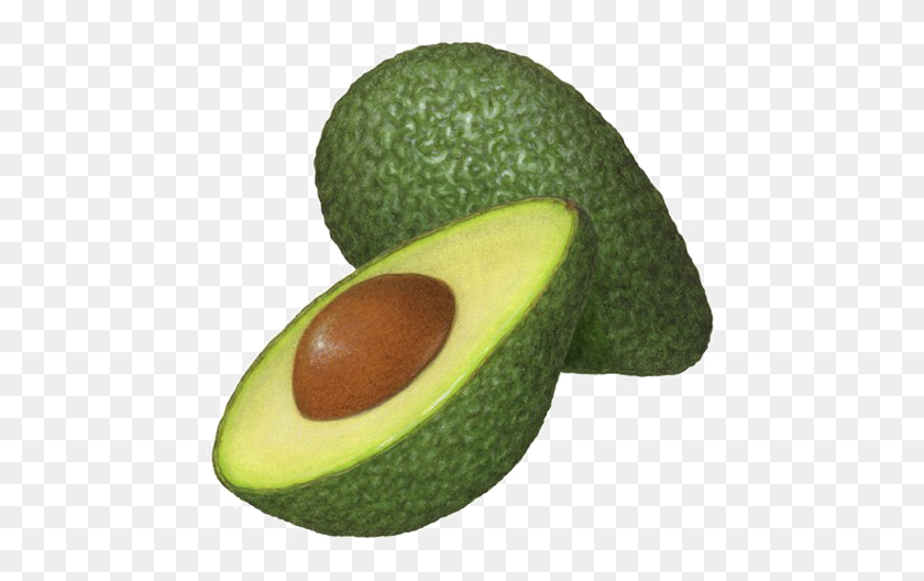 477x468 Aguacate Png