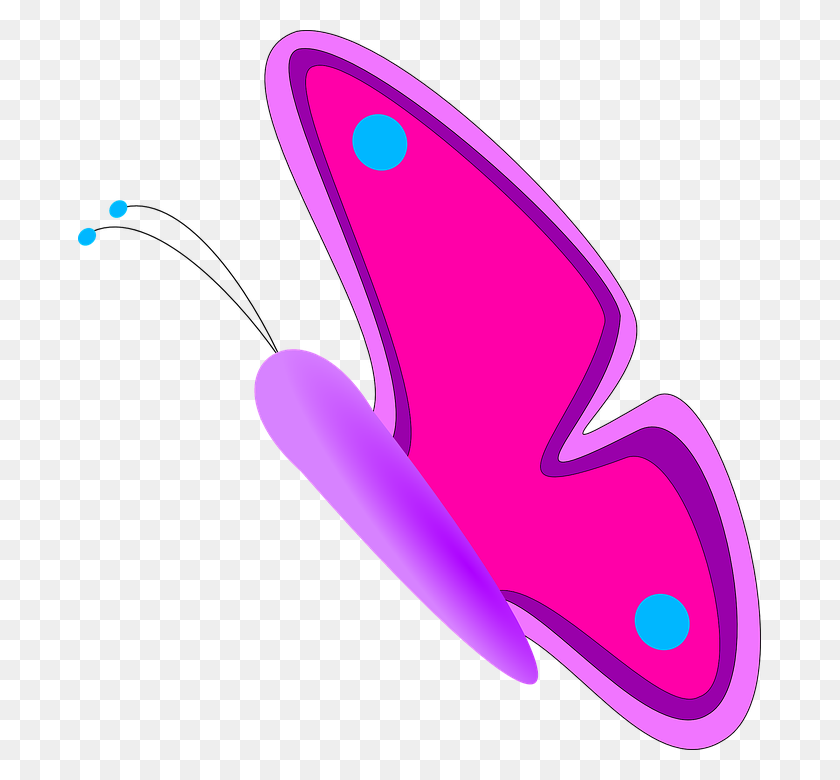 683x720 Media Mariposa Cliparts Descarga Gratuita De Imágenes Prediseñadas - Butterfly Net Clipart