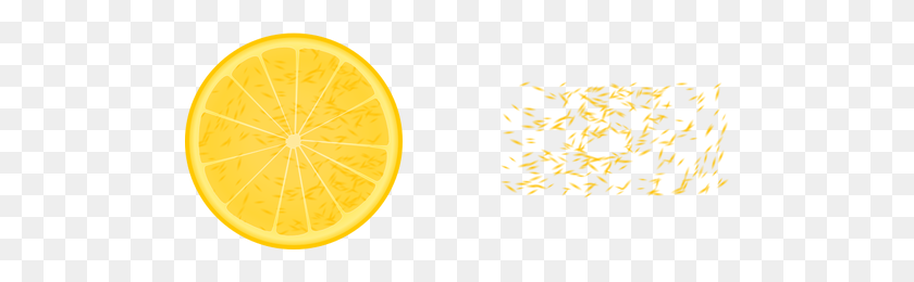 500x200 Half Orange And Orange Bits Vector Clip Art - Citrus Clipart