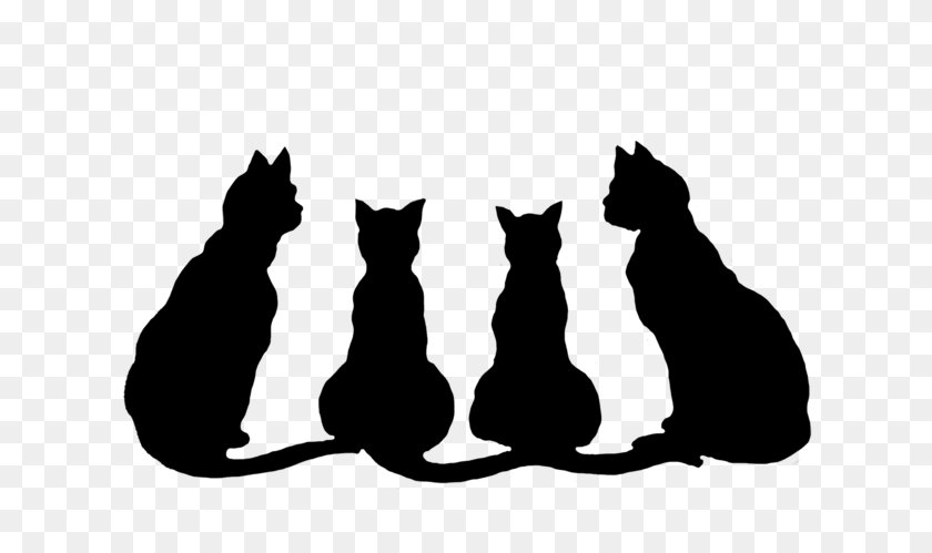 640x439 Halloween Black Cats Png Transparent Halloween Black Cats - Witch Silhouette PNG