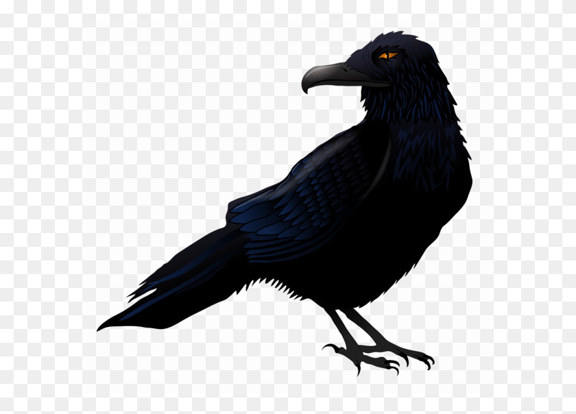600x544 Halloween Crow Png High Quality Image Png Arts - Crow PNG