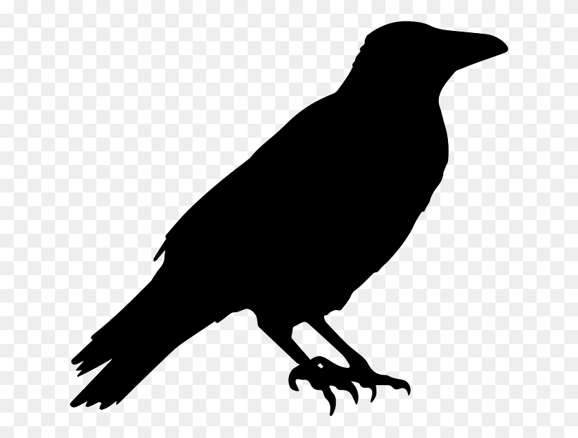 640x577 Halloween Crow Png Picture Png Arts - Crow PNG