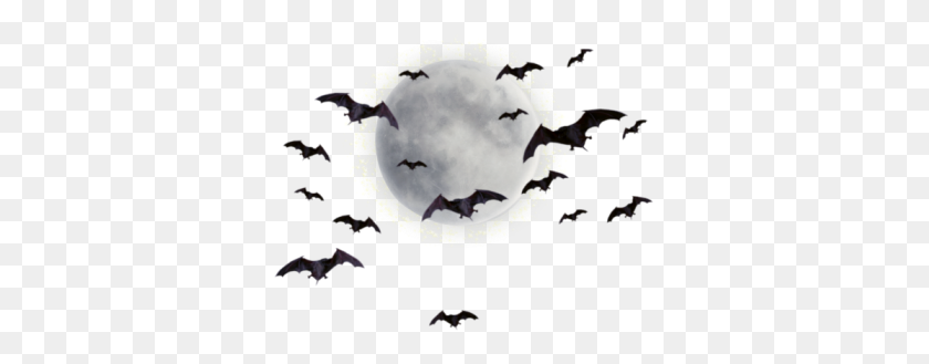 343x269 Halloween Graphics - Bats PNG