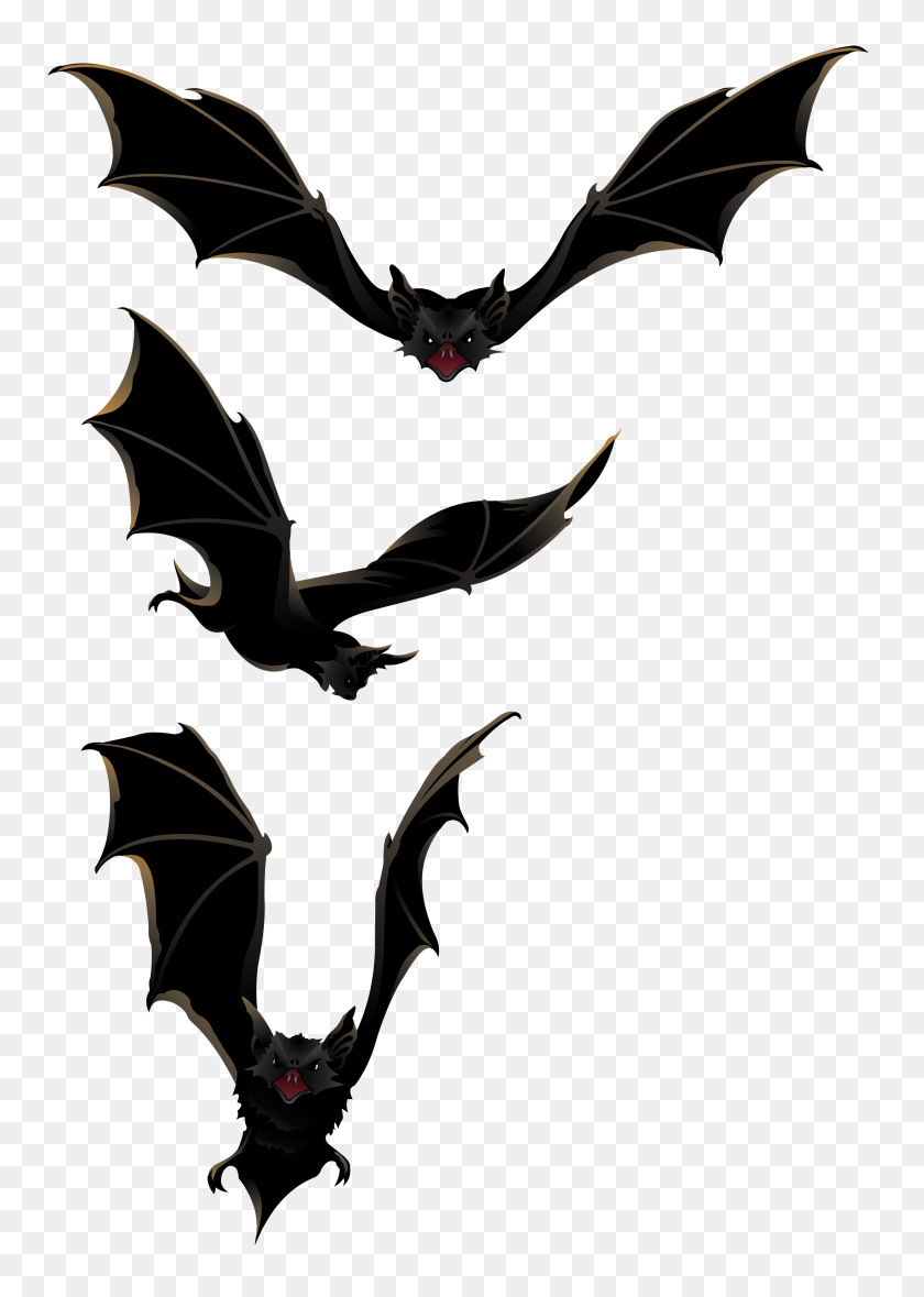 2946x4229 Halloween Png Bats - Bats PNG