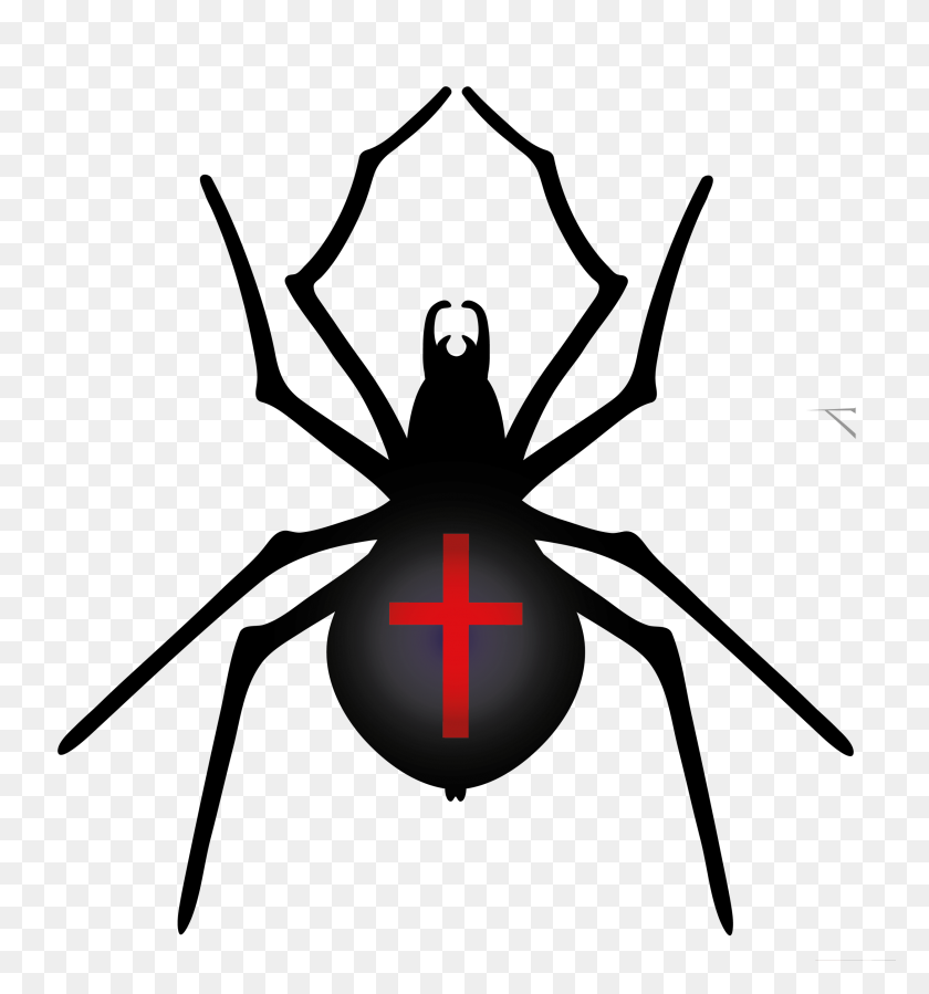 2500x2690 Halloween Spider Png - Spider PNG