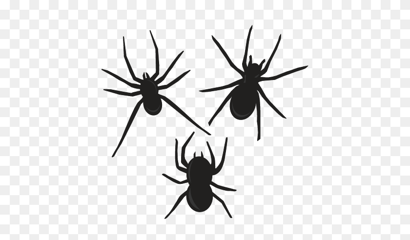 432x432 Halloween Spiders Pictures Free Download Clip Art - Broomstick Clipart