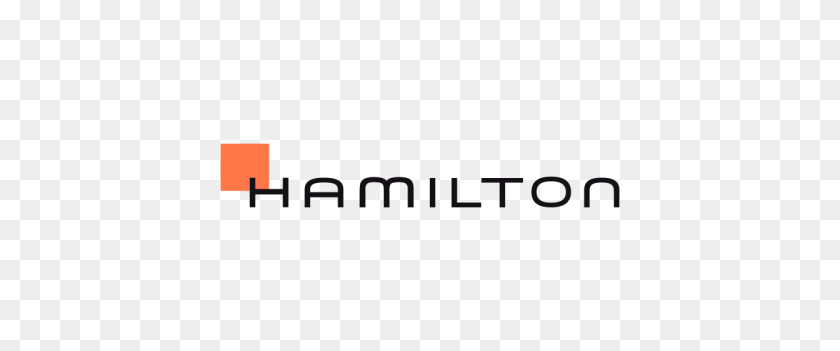 480x291 Hamilton In San Sebastian Olazabal Jeweller's And Watch Shop - Hamilton PNG
