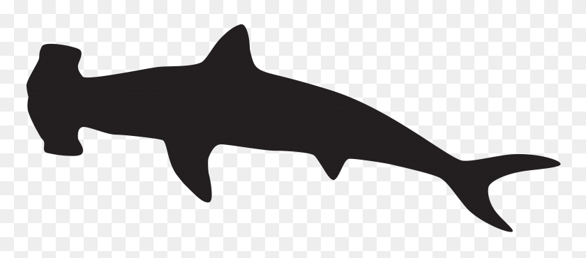 8000x3188 Hammerhead Shark Clip Art Black And White - Shark Bite Clipart